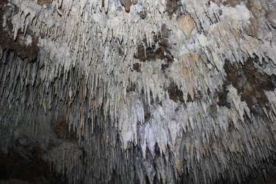Sırtlanini Mağarası - İl Kültür ve Turizm Müdürlüğü